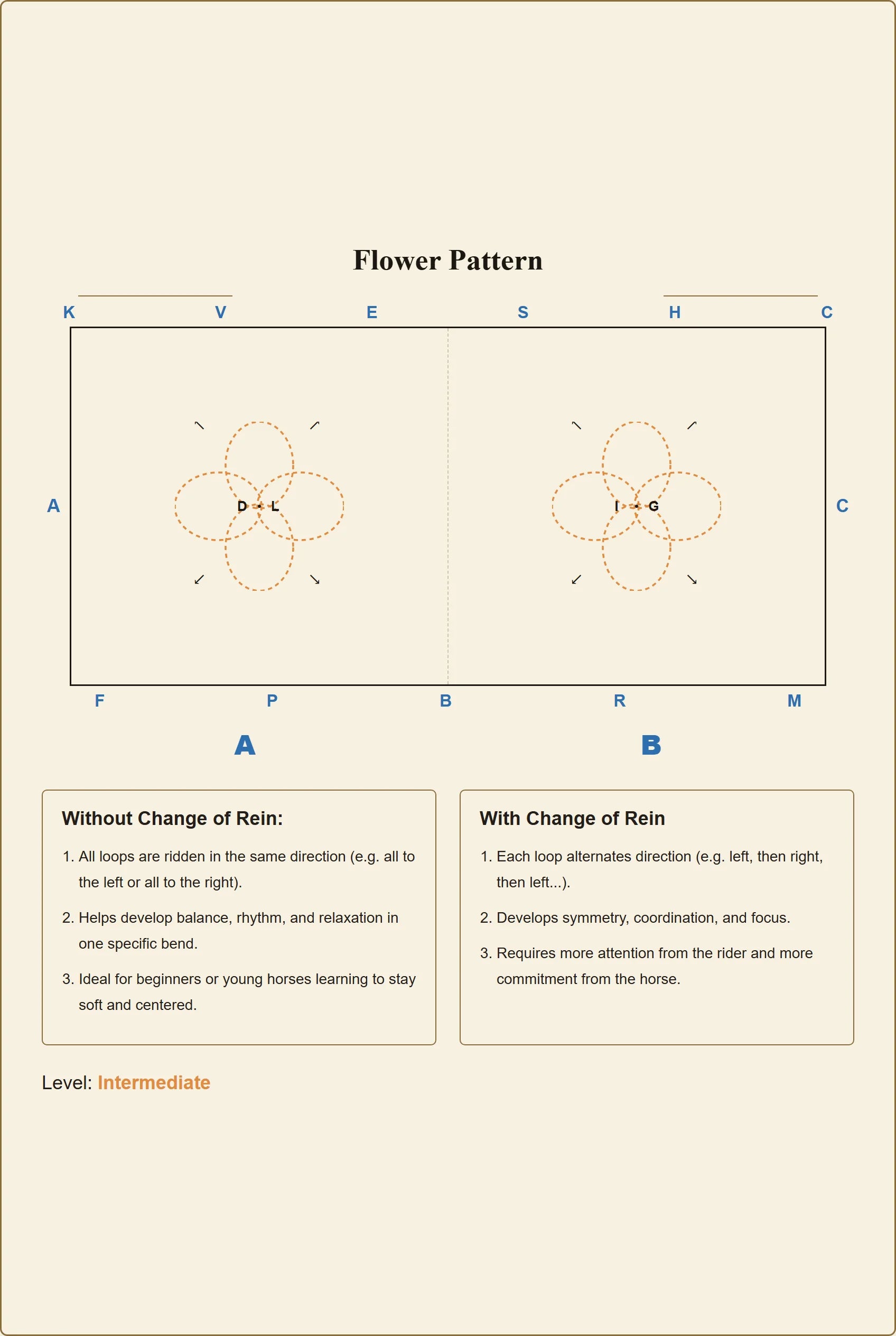 Riding pattern diagram