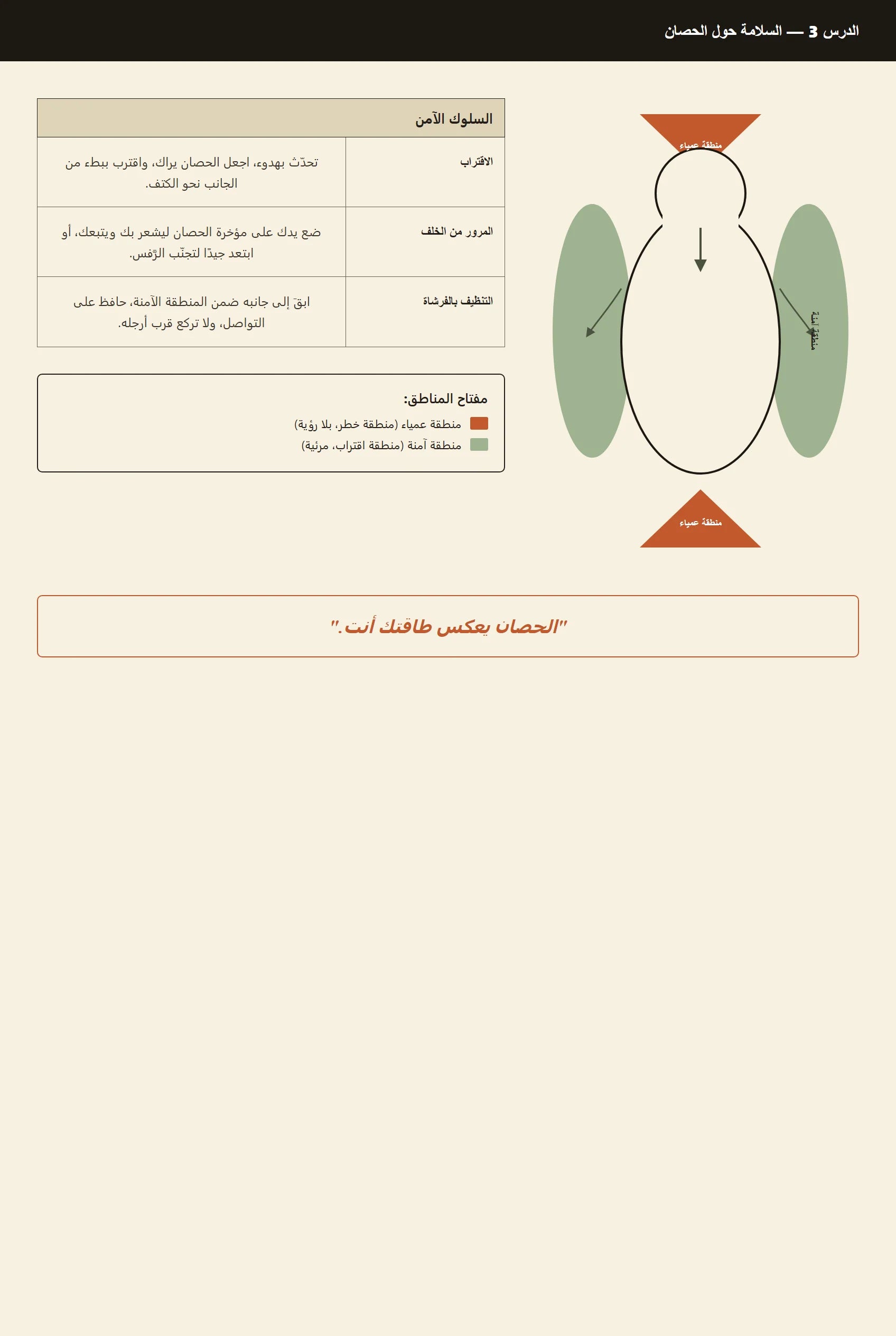 المنطقة العمياء والمنطقة الآمنة حول الحصان